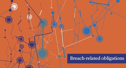 Big Data & Issues & Opportunities: Breach-related obligations