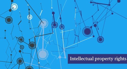 Big Data & Issues & Opportunities: Intellectual Property Rights