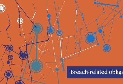 Big Data & Issues & Opportunities: Breach-related obligations
